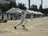 P1000432.jpg (31271 oCg)